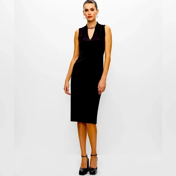 Melanie Lyne Dresses Melanie Lyne Black Mid Calf Sheath V Neck
